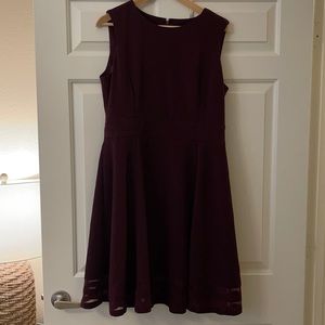 Calvin Klein Business Professional or Party Dress